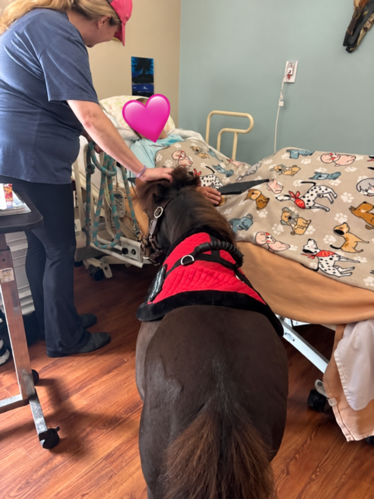 2026 Visit bedside